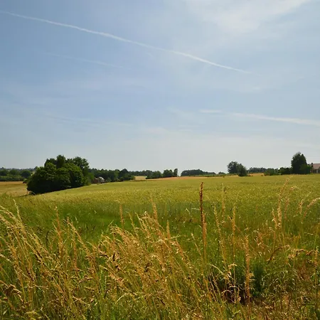 Les Hydrangeas - Classe 3 Etoiles Meuble De Tourisme * Savignac-Lédrier