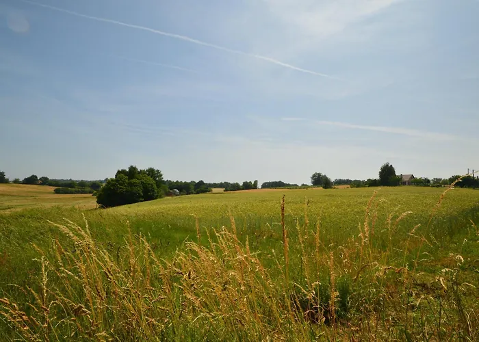 Les Hydrangeas - Classe 3 Etoiles Meuble De Tourisme * Savignac-Lédrier